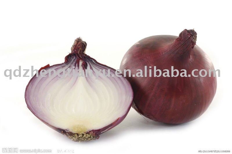 fresh onion