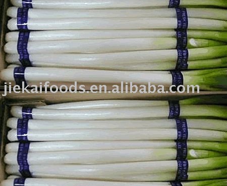 Green chinese onion