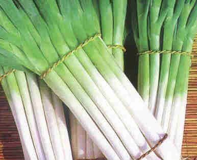 Fresh scallions