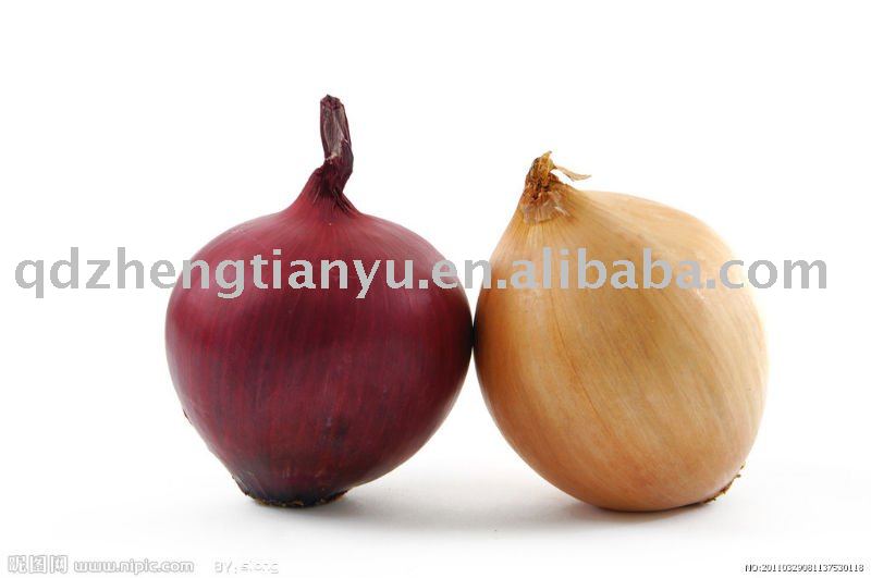 onion