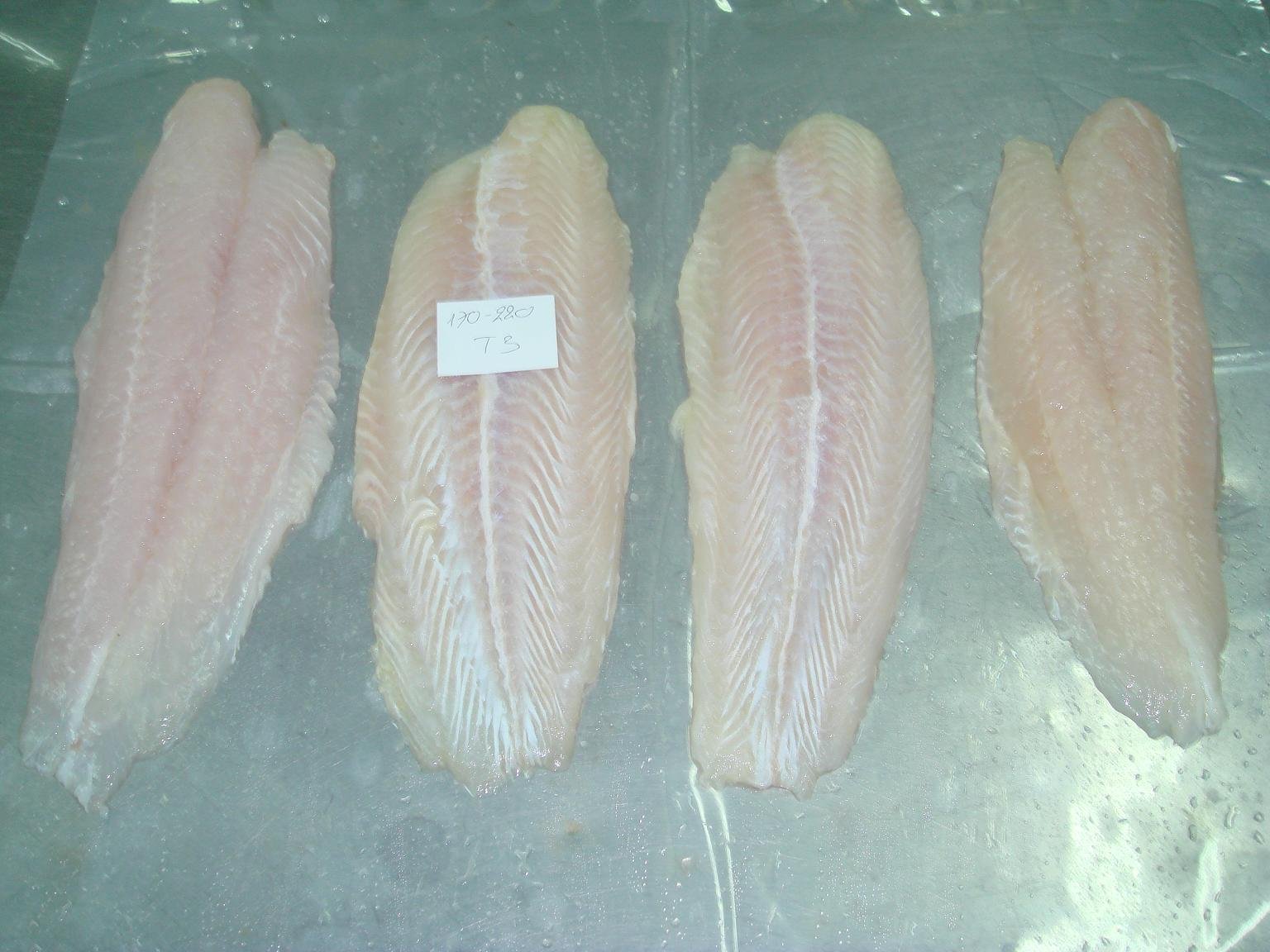 Sell Pangasius Fillet