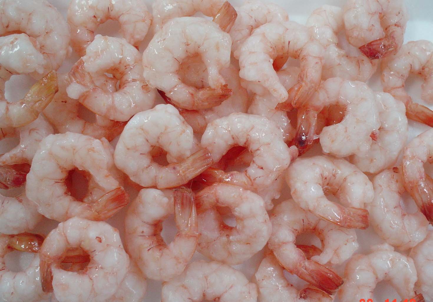Frozen  PTO Cat-tiger shrimp