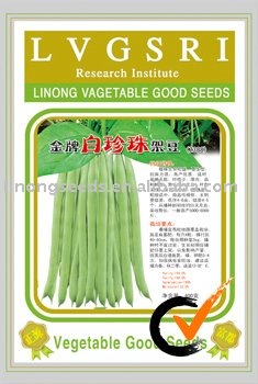 Gold  White -pearl bean seeds