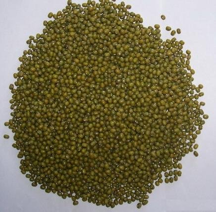 green mung bean of crop 2010