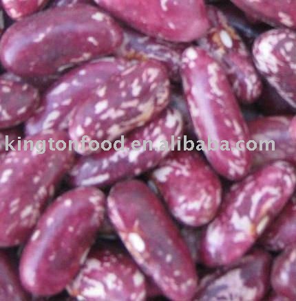 China red speckled kidney beans