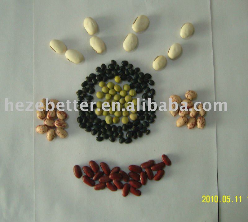 black beans with green kernels