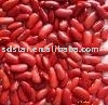 japanese   red   kidney   bean 
