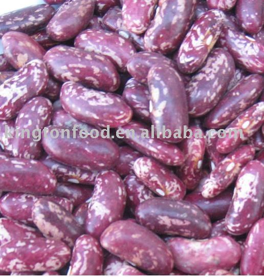 China purple speckled kidney beans