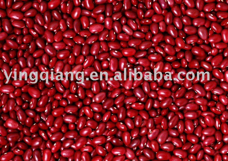 Chinese special red kidney beans