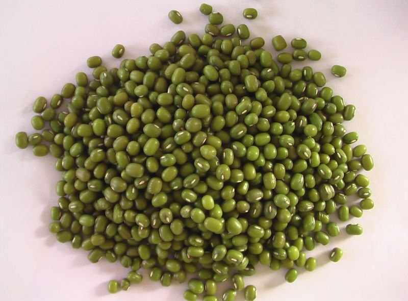 mung bean