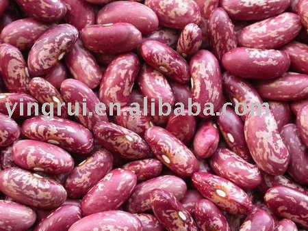 red speckle kidney bean