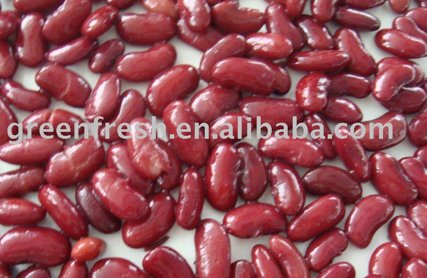 Red kidney beans (HACCP/HALAL/FDA/IFS/SGS)