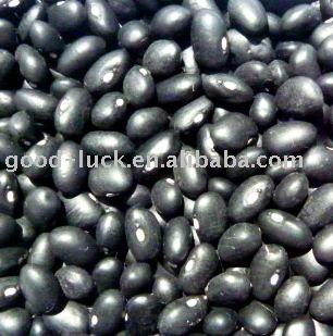 High Quality Black Kidney Beans