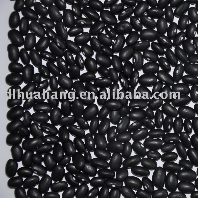 HPS Chinese Small Black Kidney Bean