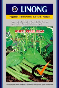 vegetable seed: White-pearl bean seeds(380)