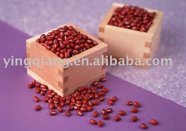 Chinese small red beans
