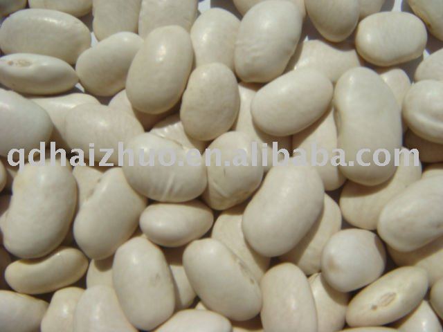 Middle white kidney bean