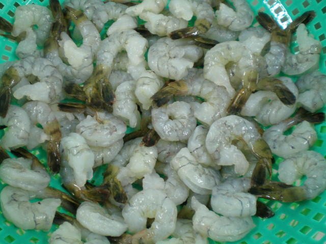 RPDTO Black tiger shrimp
