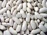  Haricot  Bean