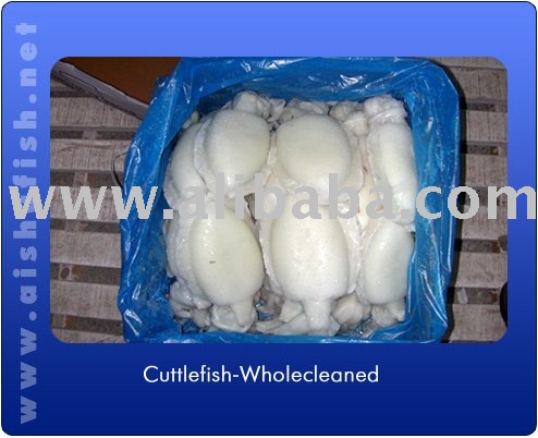 CUTTLE FISH WHOLE CLEANED