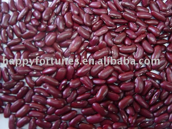 kidney bean red bean canned bean round shape japanese variety dongbei bean pulses