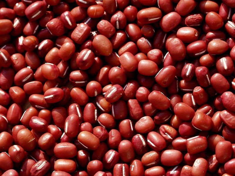 AZUKI beans at affordable prices