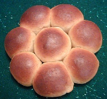 Honey Whole Wheat Dinner Rolls