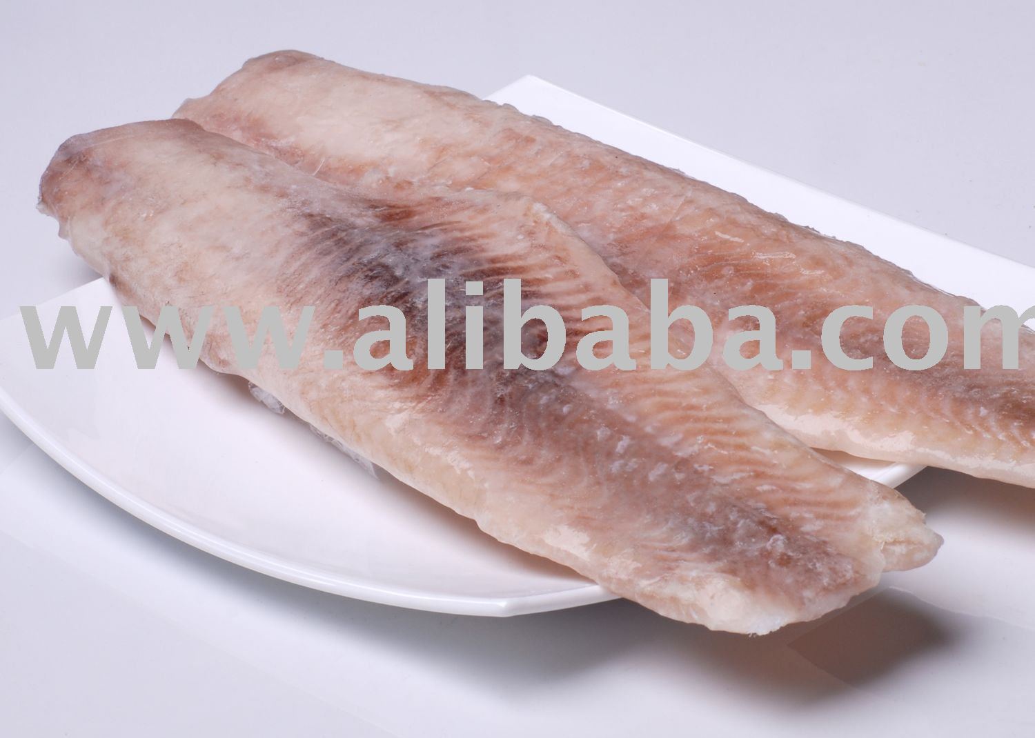 Catfish (Silurus Glanis)