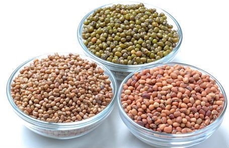 MOTH beans at affordable prices