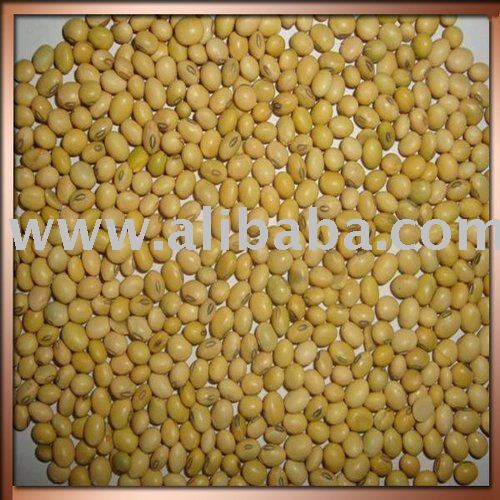 Best quality  soyabean  seed