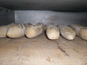  bread  -   Fresh   bread 