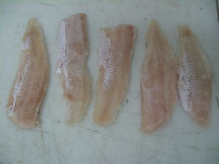hake fillets