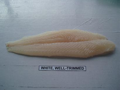 basa fish and BT or vannamei shrimp
