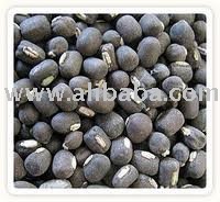 Black and Green lentils beans