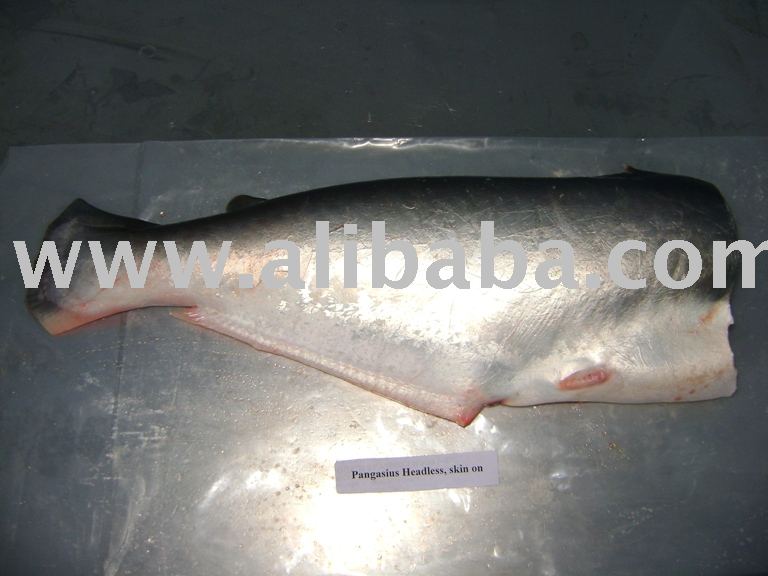 Frozen  Pangasius  Hypophthalmus HGT fish