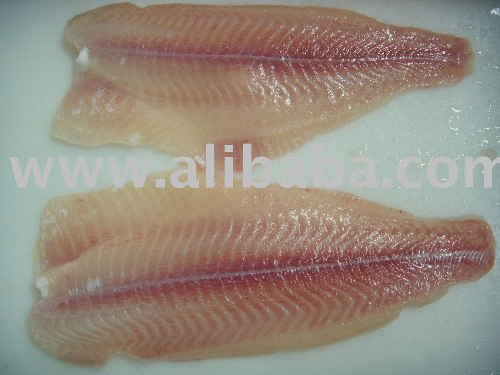 Frozen Pangasius Hypophalmus Fillet