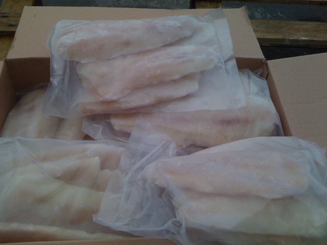 apo fillets