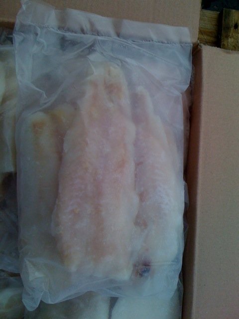 hake fillets