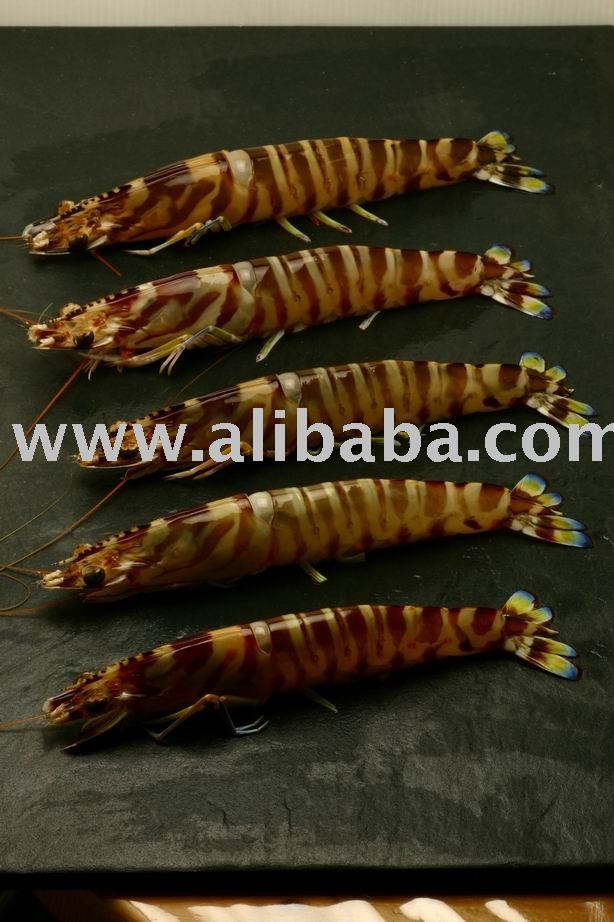 Frozen Bamboo Shrimp