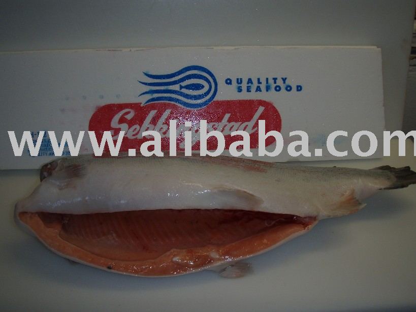  Frozen   Salmon   Trout  H / G