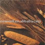 Resistant Starch