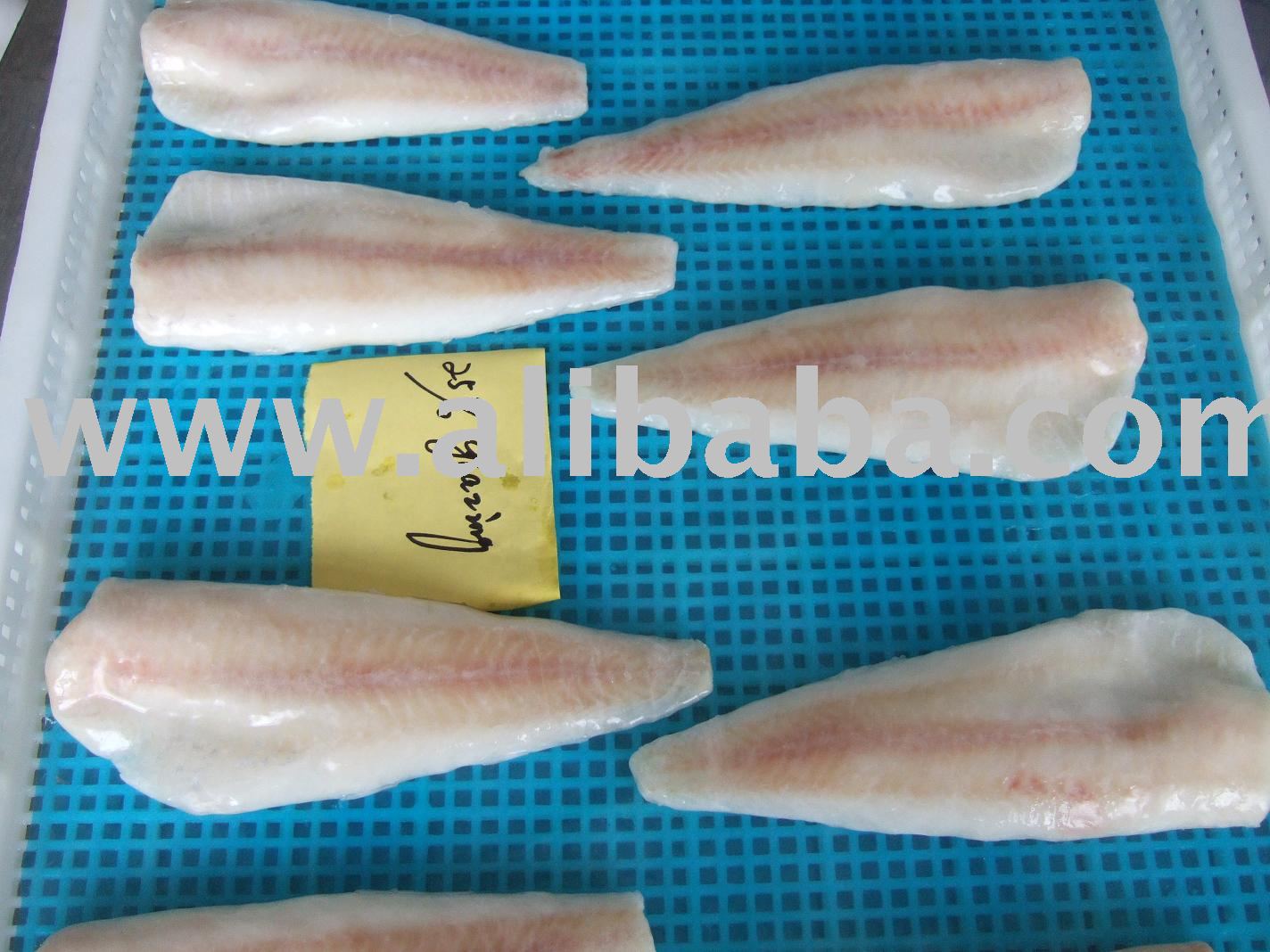  IQF  Pollock Fillets ,  Hake  fillets, Arrow tooth flounder fillets ,Salted pollock