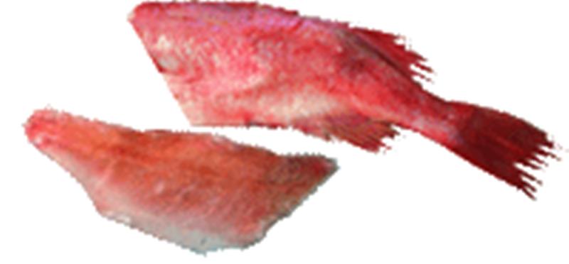 Red fish