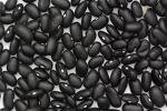 HIGH QUALITY  Black   turtle   Beans 