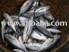Horse Mackerel and red mullet for sale