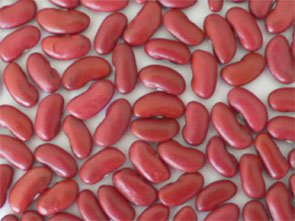LIGHT RED SPECKLE KIDNEY BEANS