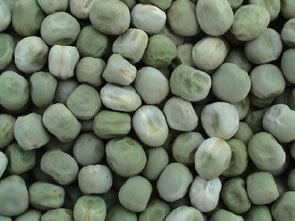 GREEN CANNED PEAS