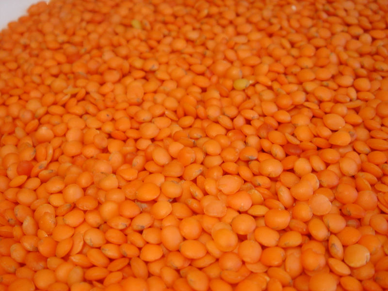 Red Lentils