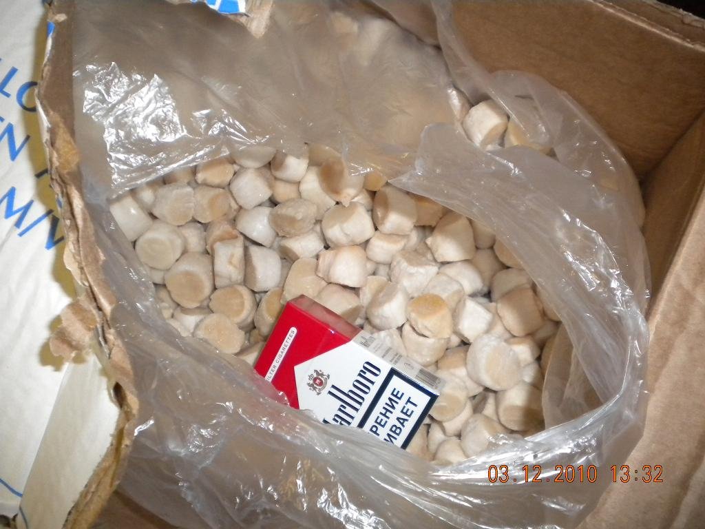  Scallop s  IQF   roe  off sea  frozen  chemicals free