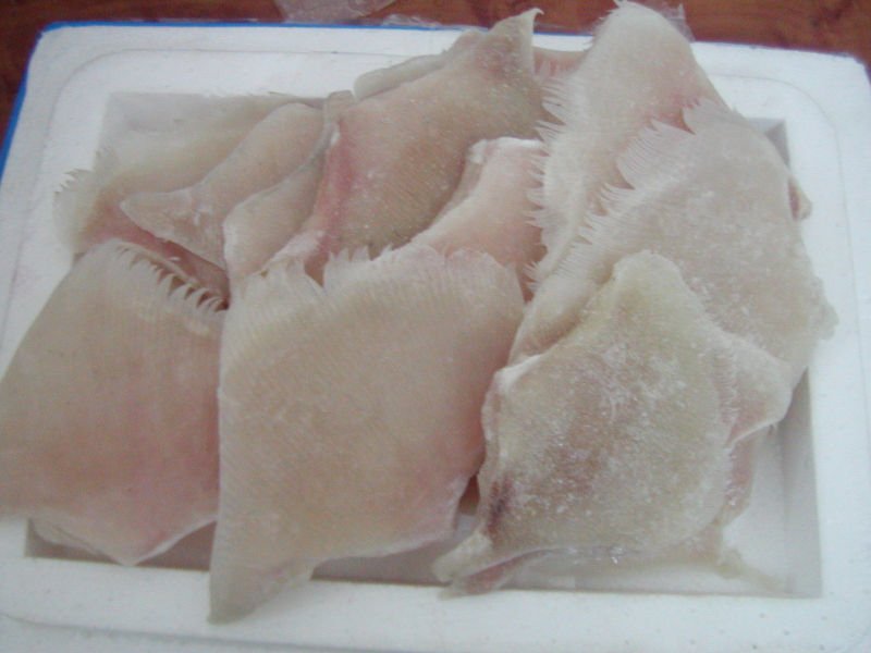 FROZEN STINGRAY WING